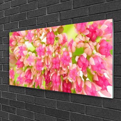 Acrylglasbilder Blüten Blumen Pflanzen