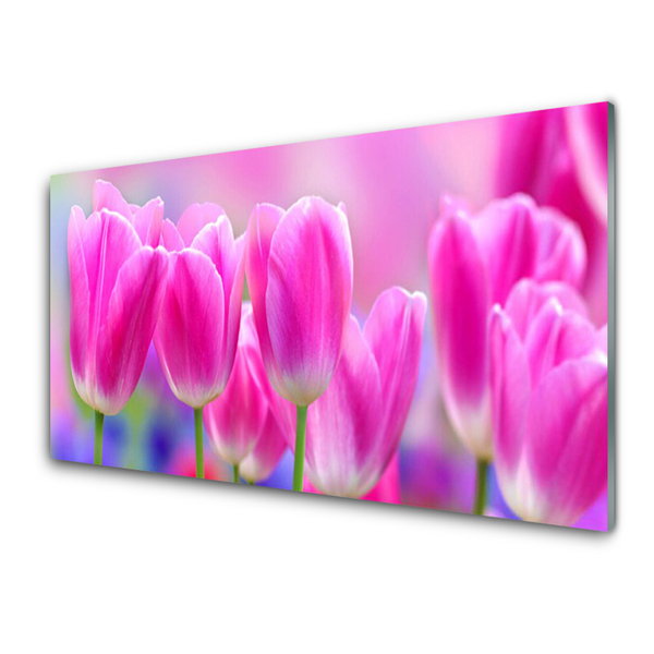 Acrylglasbilder Tulpen Pflanzen