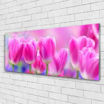 Acrylglasbilder Tulpen Pflanzen