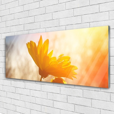 Acrylglasbilder Sonnenblume Pflanzen