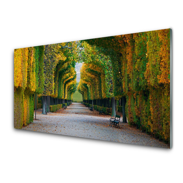 Acrylglasbilder Park Herbst Garten Natur