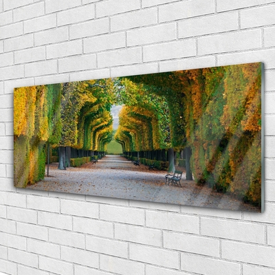 Acrylglasbilder Park Herbst Garten Natur