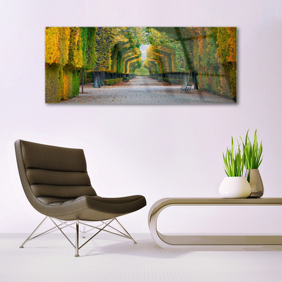 Acrylglasbilder Park Herbst Garten Natur