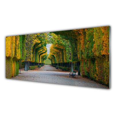 Acrylglasbilder Park Herbst Garten Natur