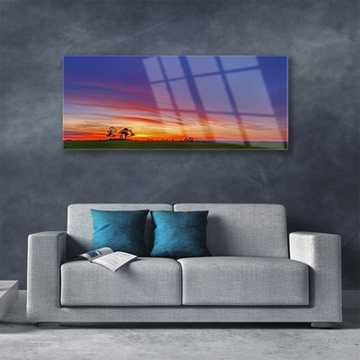 Acrylglasbilder Landschaft Feld Bäume Natur