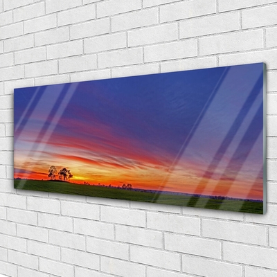 Acrylglasbilder Landschaft Feld Bäume Natur