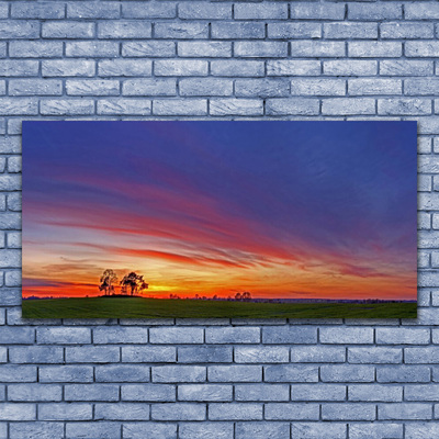 Acrylglasbilder Landschaft Feld Bäume Natur