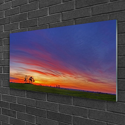 Acrylglasbilder Landschaft Feld Bäume Natur