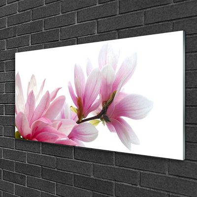 Acrylglasbilder Magnolienblüten Pflanzen