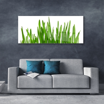 Acrylglasbilder Gras Pflanzen