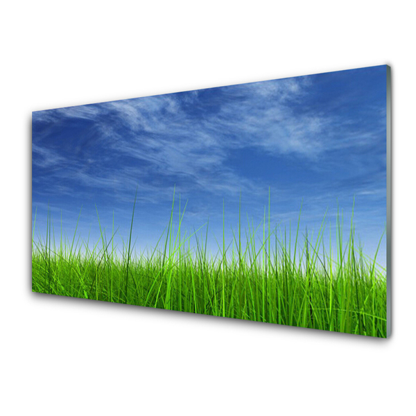 Acrylglasbilder Himmel Gras Natur