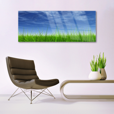 Acrylglasbilder Himmel Gras Natur