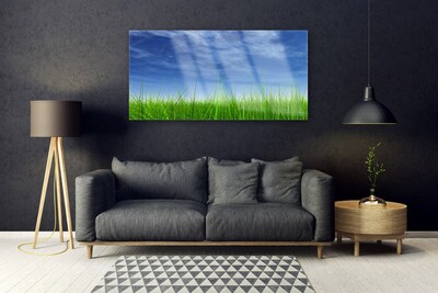 Acrylglasbilder Himmel Gras Natur