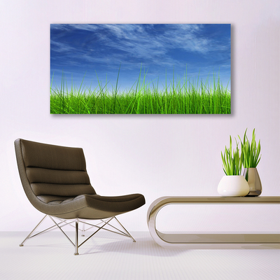 Acrylglasbilder Himmel Gras Natur