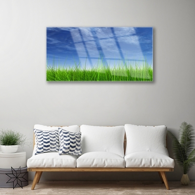 Acrylglasbilder Himmel Gras Natur