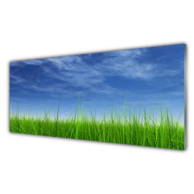 Acrylglasbilder Himmel Gras Natur