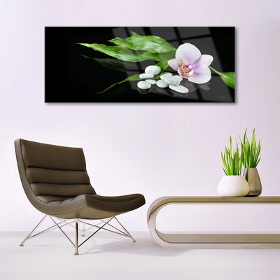 Acrylglasbilder Blume Steine Blätter Pflanzen