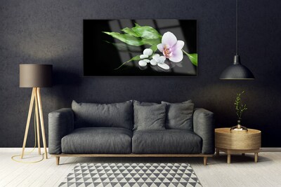 Acrylglasbilder Blume Steine Blätter Pflanzen