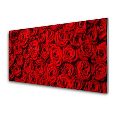 Acrylglasbilder Roses Pflanzen