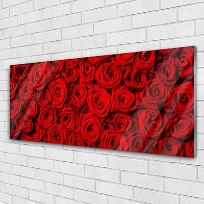 Acrylglasbilder Roses Pflanzen