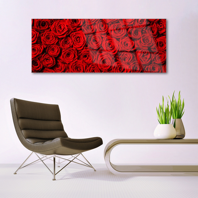 Acrylglasbilder Roses Pflanzen