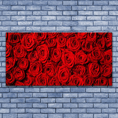 Acrylglasbilder Roses Pflanzen