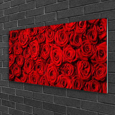 Acrylglasbilder Roses Pflanzen