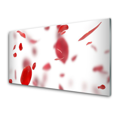 Acrylglasbilder Rosenblätter Pflanzen