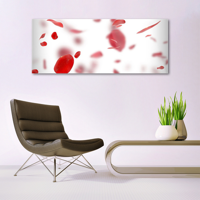 Acrylglasbilder Rosenblätter Pflanzen