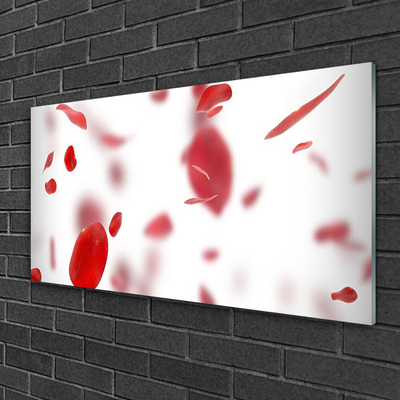 Acrylglasbilder Rosenblätter Pflanzen