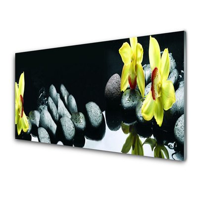 Acrylglasbilder Blumen Steine Pflanzen