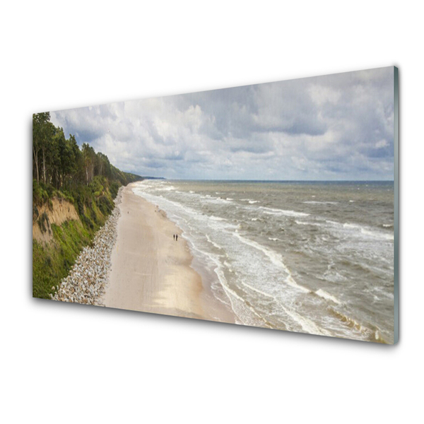 Acrylglasbilder Strand Meer Baum Natur