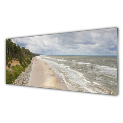 Acrylglasbilder Strand Meer Baum Natur