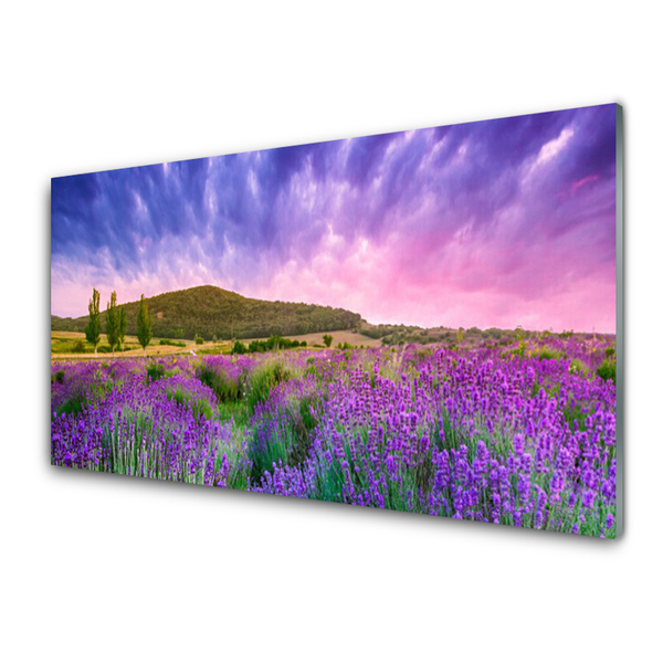 Acrylglasbilder Wiese Blumen Gebirge Natur