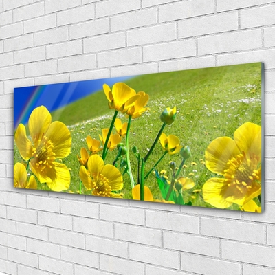 Acrylglasbilder Wiese Blumen Regenbogen Natur