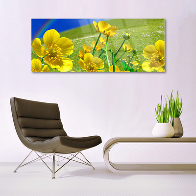 Acrylglasbilder Wiese Blumen Regenbogen Natur