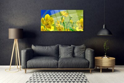 Acrylglasbilder Wiese Blumen Regenbogen Natur