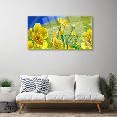 Acrylglasbilder Wiese Blumen Regenbogen Natur