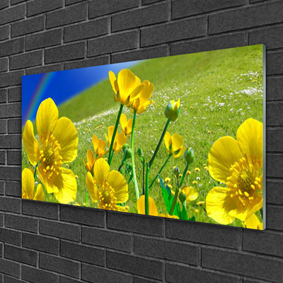 Acrylglasbilder Wiese Blumen Regenbogen Natur