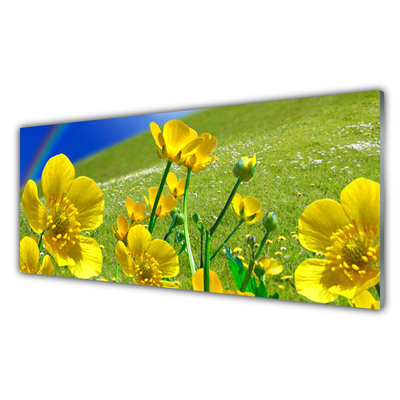 Acrylglasbilder Wiese Blumen Regenbogen Natur