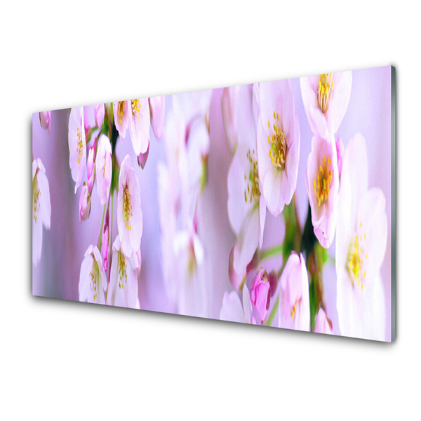 Acrylglasbilder Blumen Pflanzen