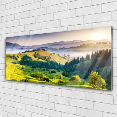 Acrylglasbilder Gebirge Feld Wald Nebel Natur