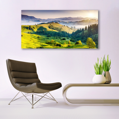 Acrylglasbilder Gebirge Feld Wald Nebel Natur