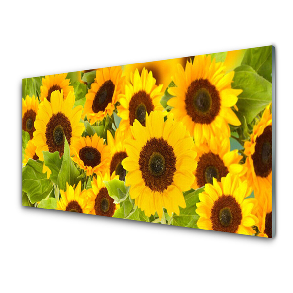 Acrylglasbilder Sonnenblumen Pflanzen