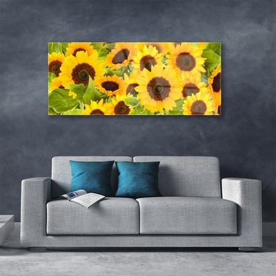 Acrylglasbilder Sonnenblumen Pflanzen