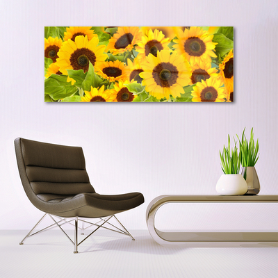 Acrylglasbilder Sonnenblumen Pflanzen