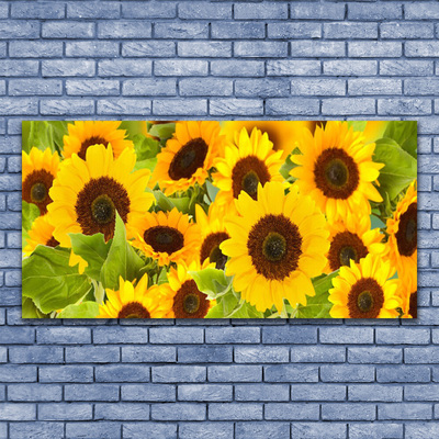 Acrylglasbilder Sonnenblumen Pflanzen