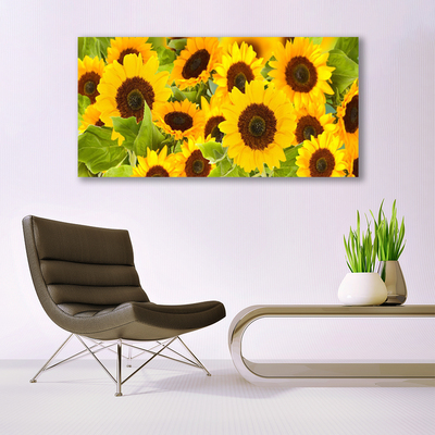 Acrylglasbilder Sonnenblumen Pflanzen