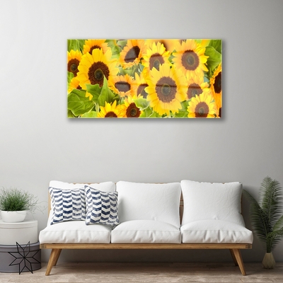 Acrylglasbilder Sonnenblumen Pflanzen