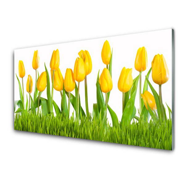 Acrylglasbilder Tulpen Pflanzen